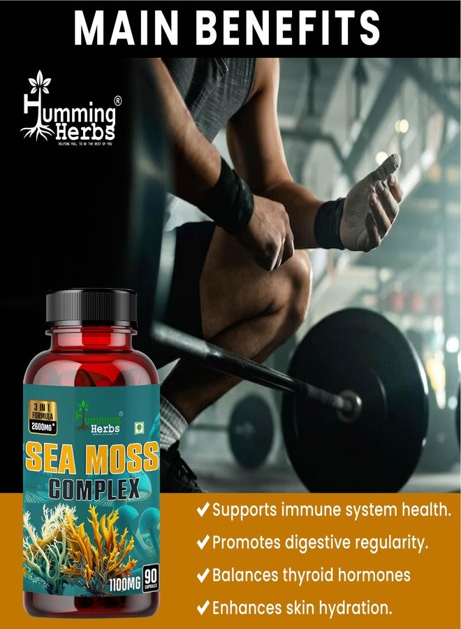 Humming Herbs Sea Moss Complex 90 Capsules - With Irish Sea Moss Powder, Bladderwrack, Burdock Root Extract | Sourced from European Sea's | Bio available Minerals for Thyroid, Skin and Joint Support - Image 4